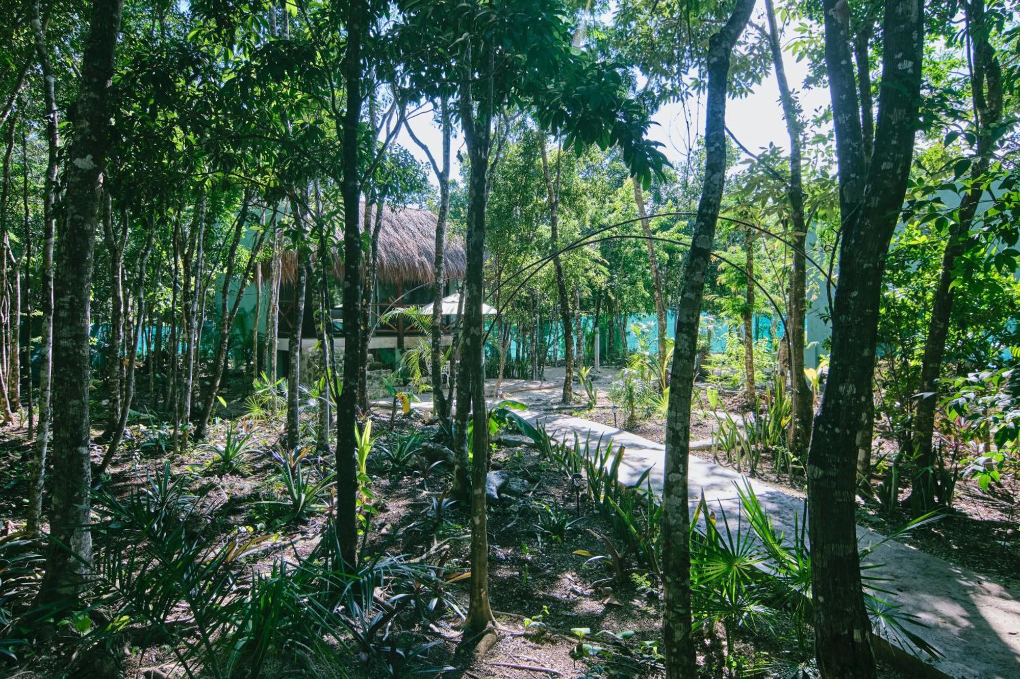 קוזומל Villas Zamna - Jungle Villas מראה חיצוני תמונה