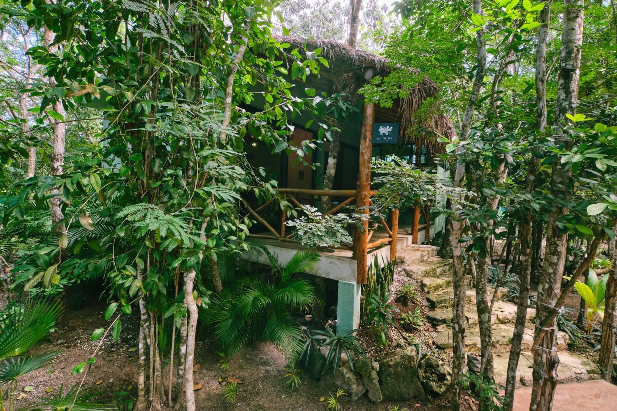 קוזומל Villas Zamna - Jungle Villas מראה חיצוני תמונה